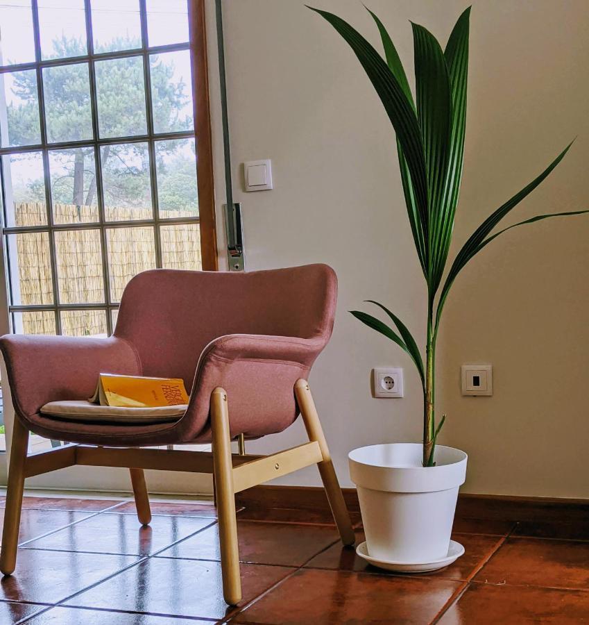 The Palm House Villa Ovar Ngoại thất bức ảnh