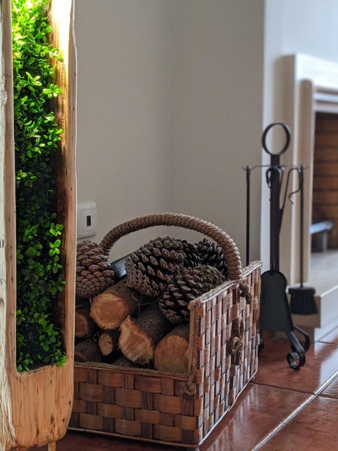 The Palm House Villa Ovar Ngoại thất bức ảnh